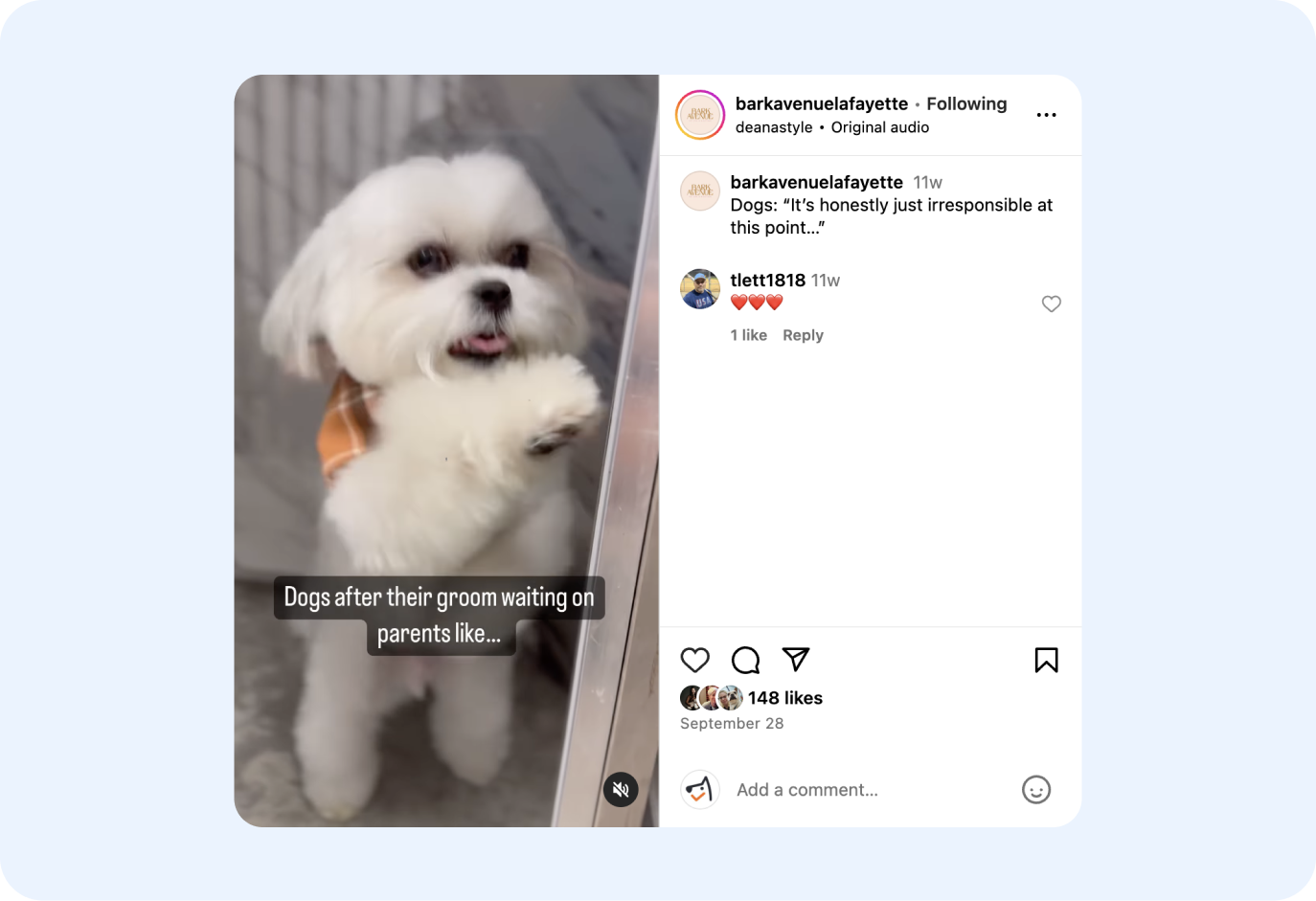 bark avenue instagram