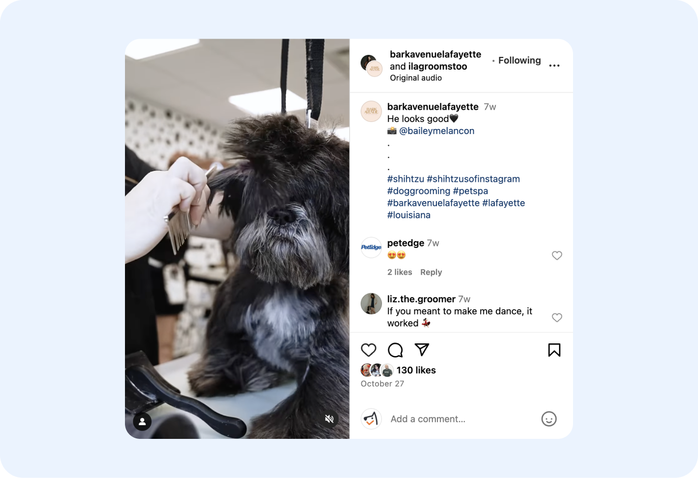 bark avenue instagram