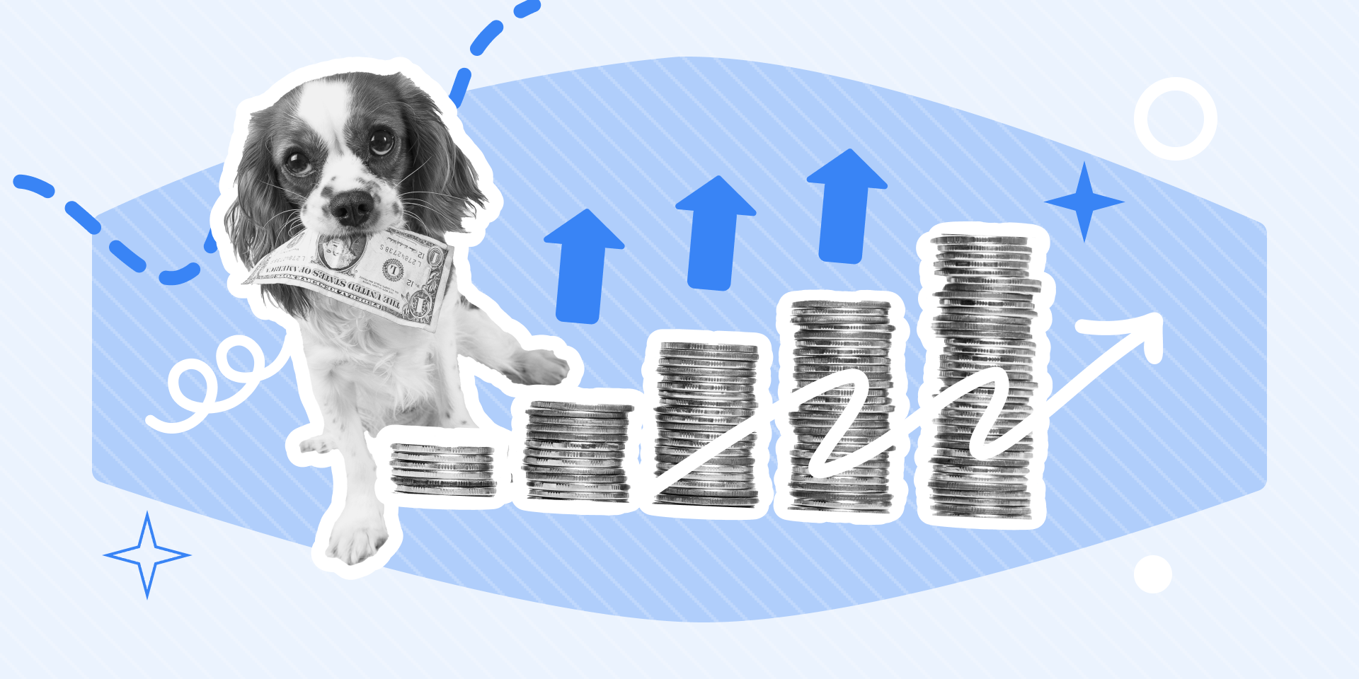 dog holding a dollar bill with stacks of coins and doodles